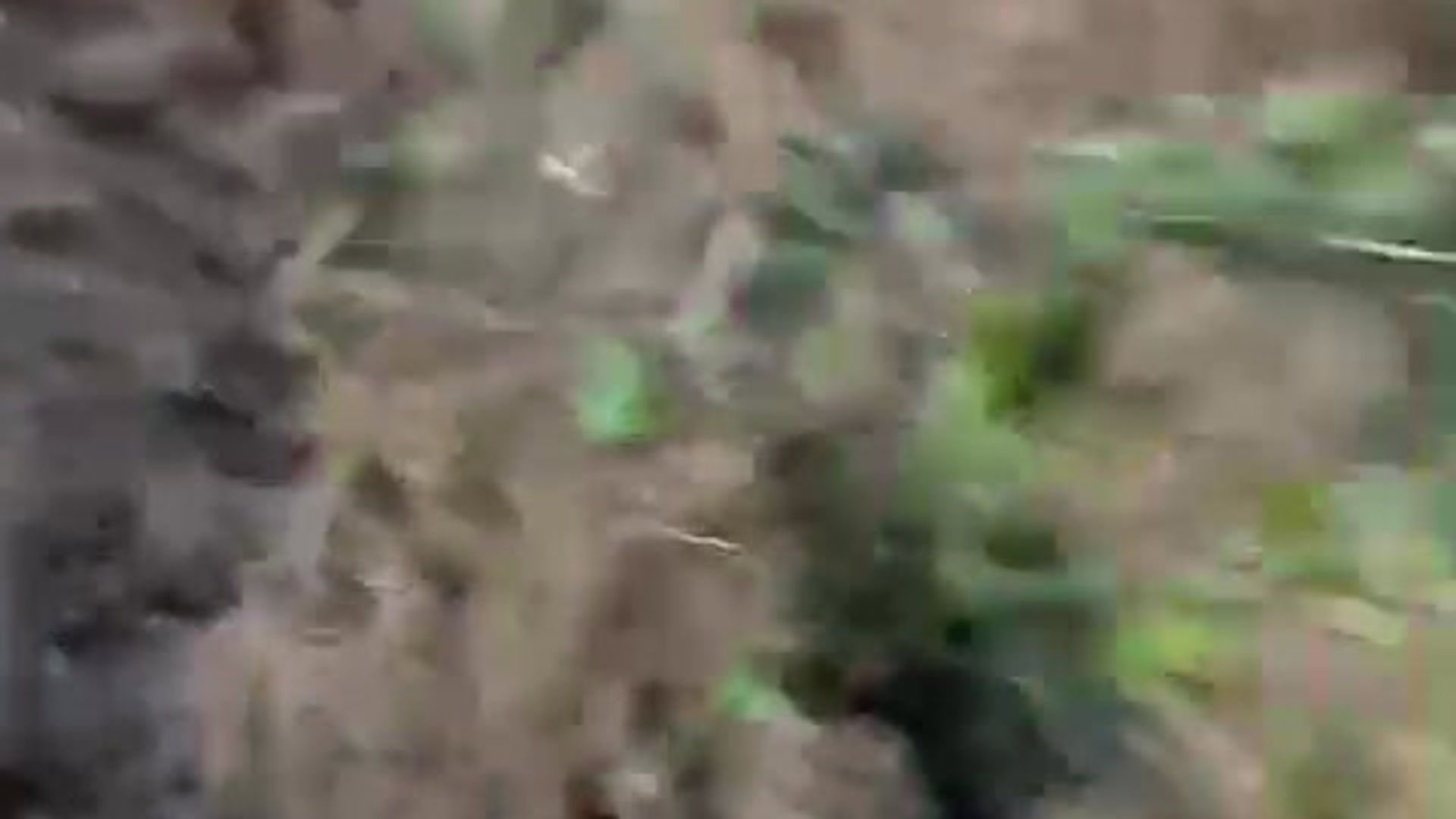 Tüm Videolar